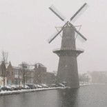 Yokohama Ramen Saito Boisson