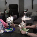 Ijssalon Lunchroom Lo Sole Bebida