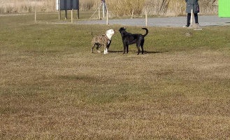 Strandpaviljoen 't Oude Strandhuys Workum Exterior