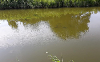 Strandpaviljoen 't Oude Strandhuys Workum Exterior