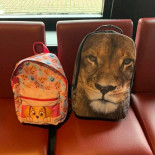 Jatapasu À l'intérieur