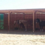 Berendhaus Groep Extérieur