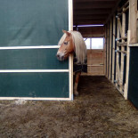 Berendhaus Groep Boisson