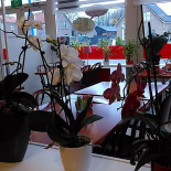 W.v. Saeftinghe Getränk