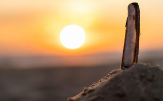 't Fortuin Café Eetcafé Partyservice Minuman