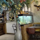 Tropical À l'intérieur