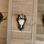 Meneer Van Eijck Boisson