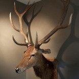 Meneer Van Eijck Boisson