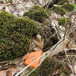 Meneer Van Eijck Extérieur