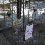 De Gouden Kom Exterior