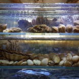 't Pakhuus Nourriture