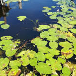 Unieke Werken Exterior