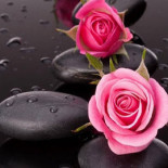 Boomhiemke B.v. Hollum Bebida