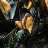 Cafetaria Marktzicht Boisson