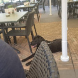 De Turfhoeve BV Exterior