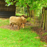 Hegen Wezup Extérieur