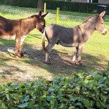 Hegen Wezup Extérieur