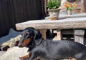 Taverne De Polderhoeve drink