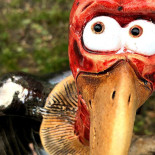 Eetcafe De Wal Bebida