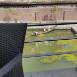 Pizzeria Mediterranee Hulst Geverifieerd Exterior