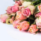 Vie Food Drinks Bebida