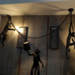 Pizzeria Romana Dokkum Boisson