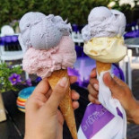 Residence Rhenen Boisson