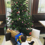 Fong Chen Extérieur