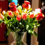 Fat Alice Moody Cracker Nunspeet Dentro