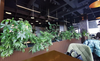 In Den Dolphin Bebida