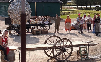 In Den Dolphin Exterior