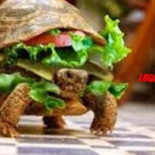 Frituur Super Comida