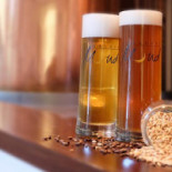 De Groten Honger Bebida