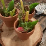 La Fleur De Thym Boisson