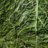 La Fleur De Thym Boisson