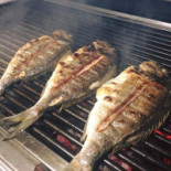 Orient Fishpoint Nourriture