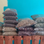 Polleke Frut Boisson