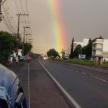 Le Pingouin Extérieur
