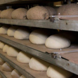 Schampaert Bvba Bebida