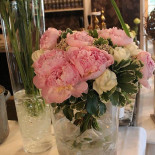 Daniels Peter Boisson