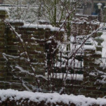 Daniels Peter Extérieur