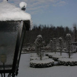 Daniels Peter Boisson