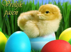 Friethuis 't Dorp Boisson