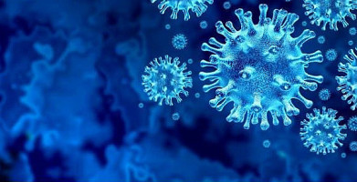 Friethuis 't Dorp Boisson