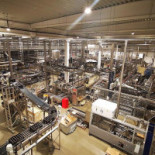 Michelles Pub Brasserie Dentro