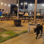 Snack Junior Extérieur