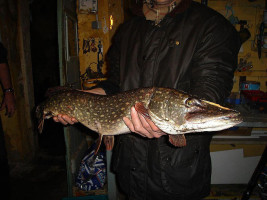 Memphis Diner Boisson