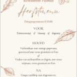 Terras- Flaman Terschelling Carte