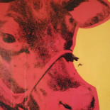 El Mundo West-terschelling Boisson