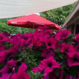 De Rustende Jager Extérieur